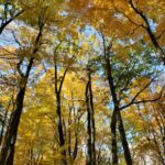 HSPs and sacred space