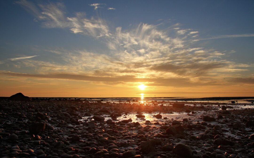 A wonderful book about transitions