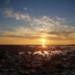 book about transitions