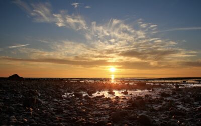 A wonderful book about transitions