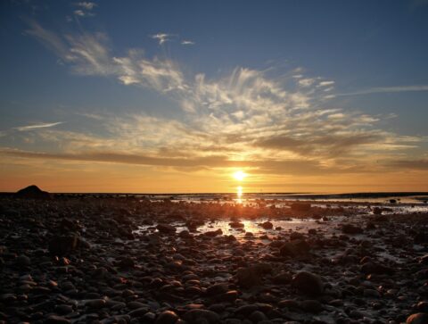 A wonderful book about transitions