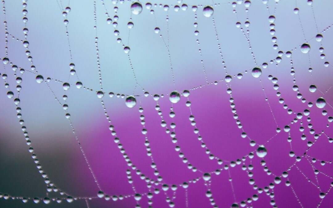 Use the HSP label—then let it go