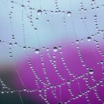 Use the HSP label then let it go