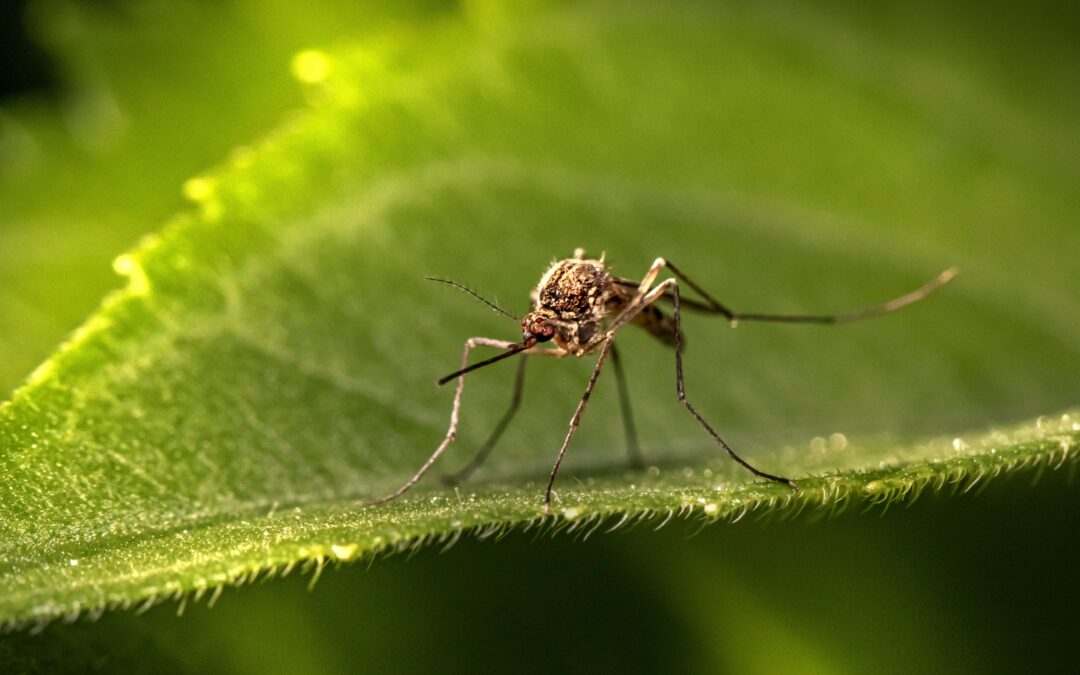 What can you do when someone persistently pushes your boundaries?