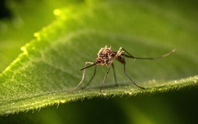 What can you do when someone persistently pushes your boundaries?