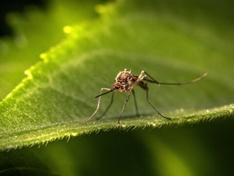 What can you do when someone persistently pushes your boundaries?