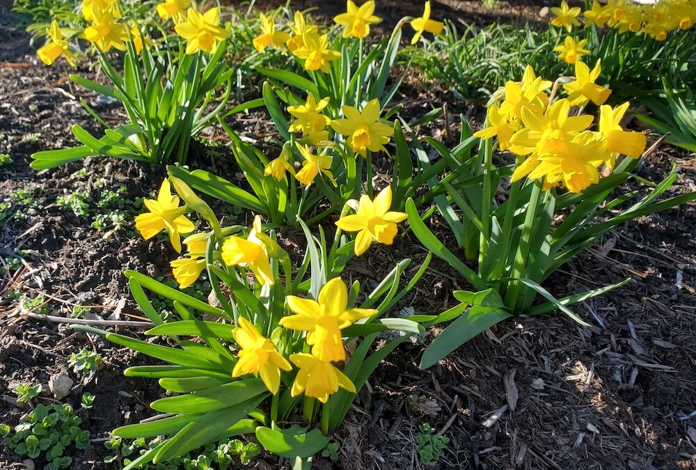 Do you respect your natural rhythms?