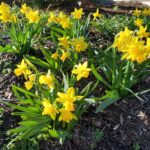 respect your natural rhythms