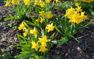 Do you respect your natural rhythms?