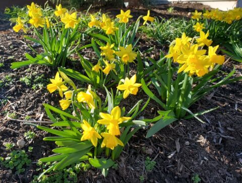 Do you respect your natural rhythms?