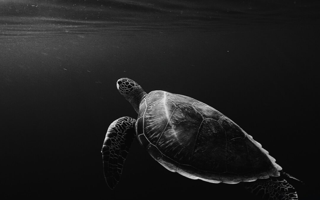 How to slow down a conversation—a key skill for HSPs