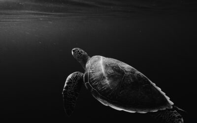 How to slow down a conversation—a key skill for HSPs