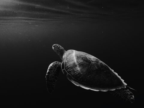 How to slow down a conversation—a key skill for HSPs